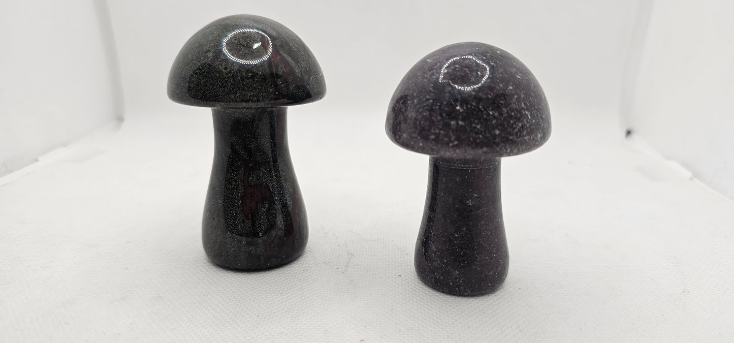 Stone Mushroom Various Types 3 Inches