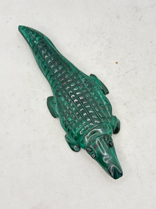 Malachite Crocodile
