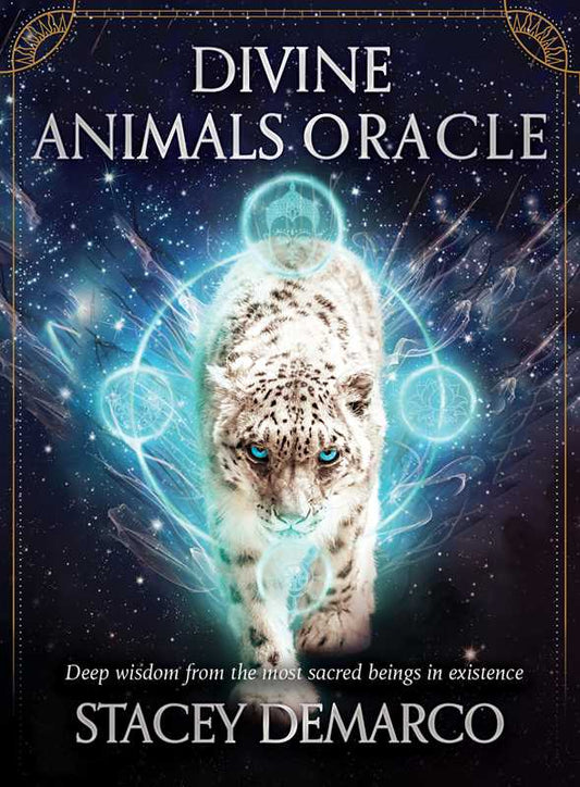 Divine Animals Oracle by Stacey Demarco: Boxed Set/Slip Cased/Casebound; 180 pages / English