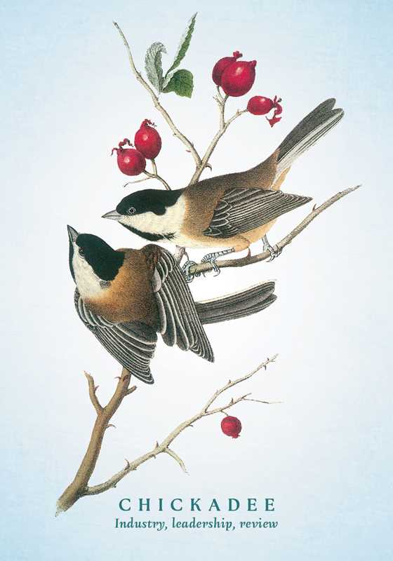 Spiritual Meaning of Birds Oracle Deck by Arin Murphy-Hiscock: Flashcards; 50 pages / English