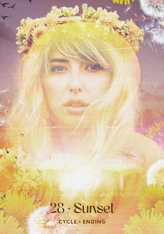 Midnight Sun Oracle by Selena Moon: Flashcards; 112 pages / English