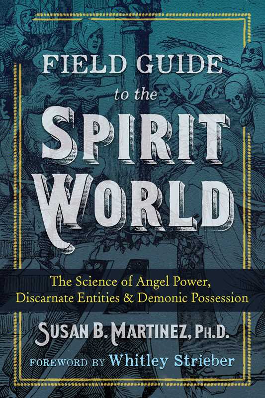 Field Guide to the Spirit World by Susan B. Martinez: Paperback; 304 pages / English