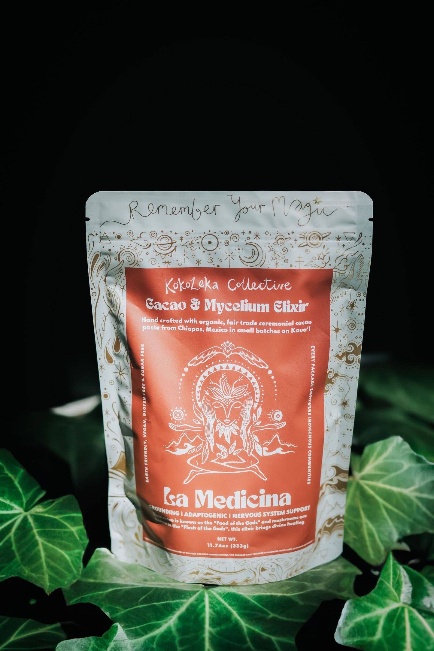 La Medicina - Medicinal Mushrooms Ceremonial Cacao Elixir: 333g