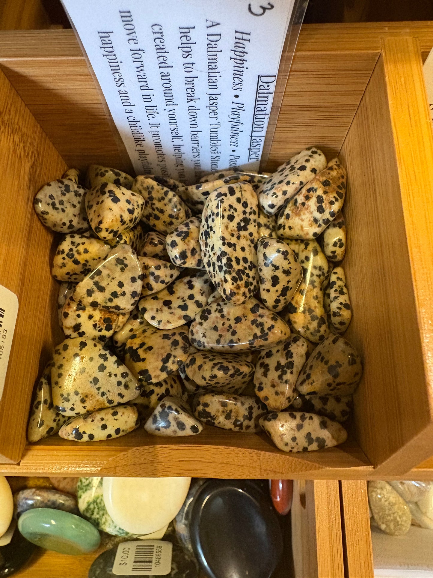 Dalmatian Jasper Tumbled