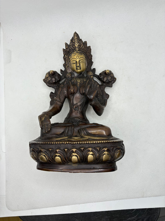Tara Brass