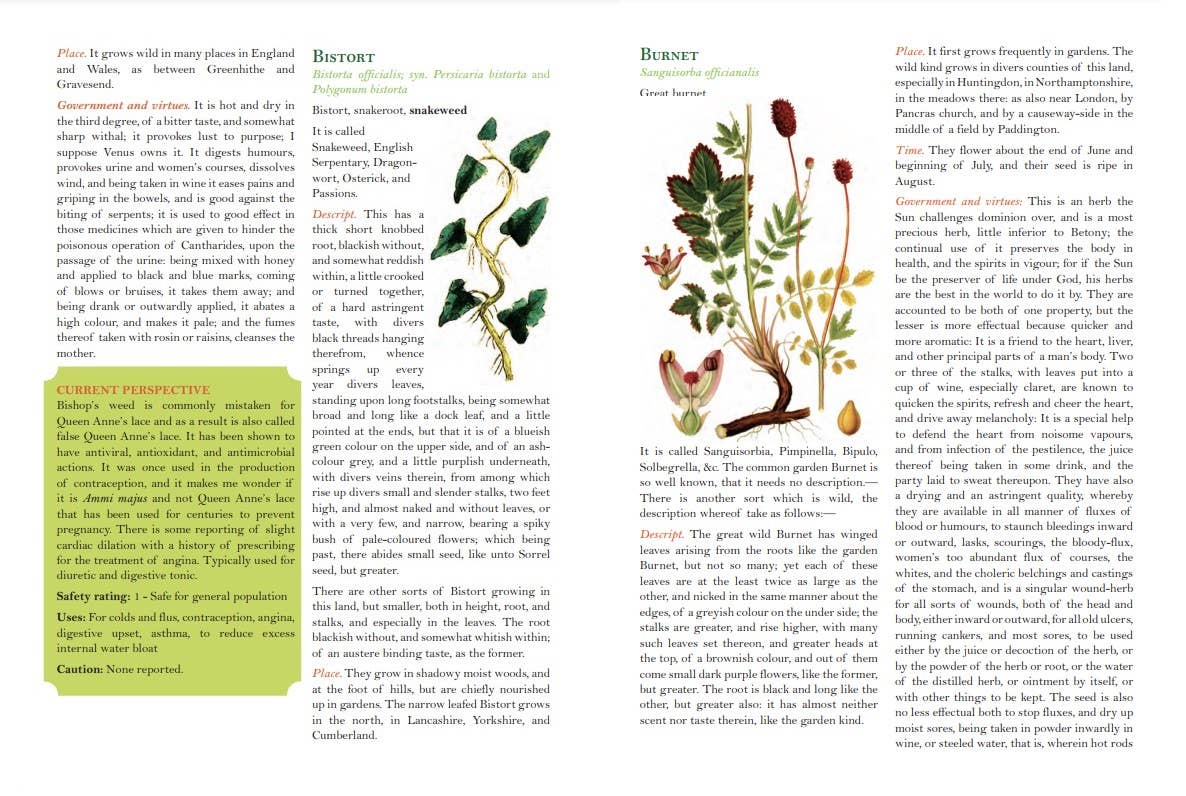 Culpeper's Complete Herbal: Herbalists, Healers, & Witches: White Cover