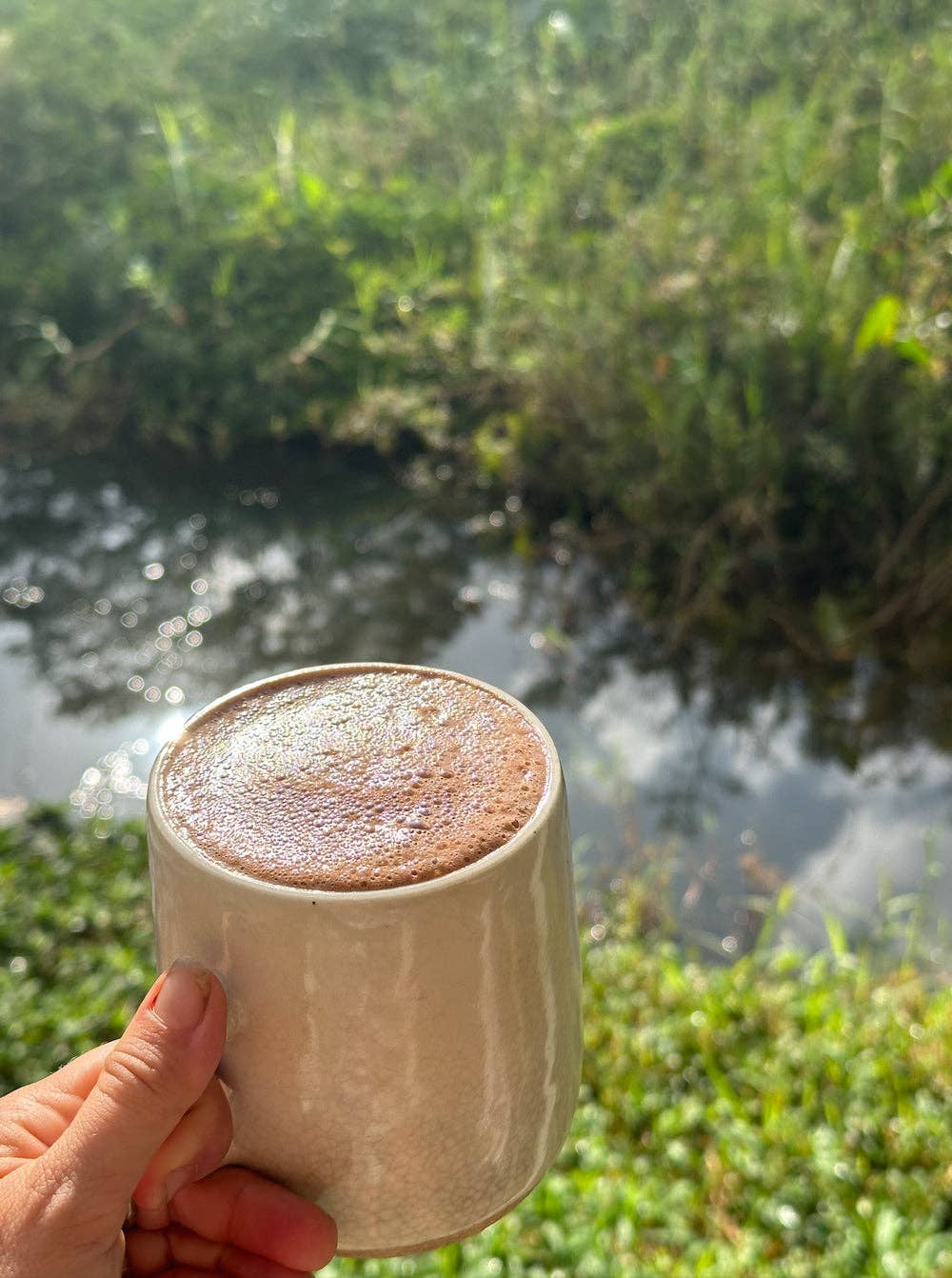 La Medicina - Medicinal Mushrooms Ceremonial Cacao Elixir: 333g