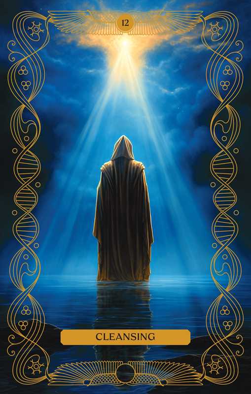 What We've Forgotten Oracle Deck by Amy Miranda