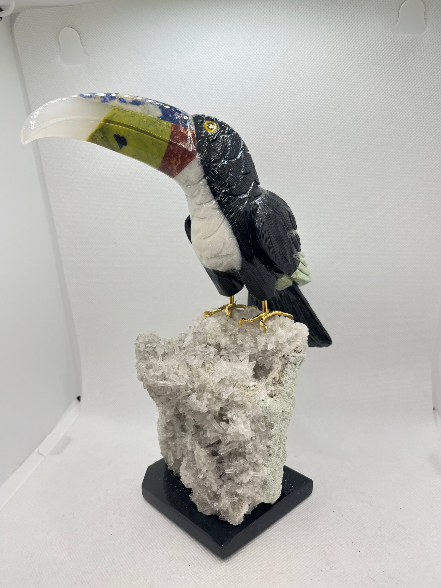 Toucan and Parrot