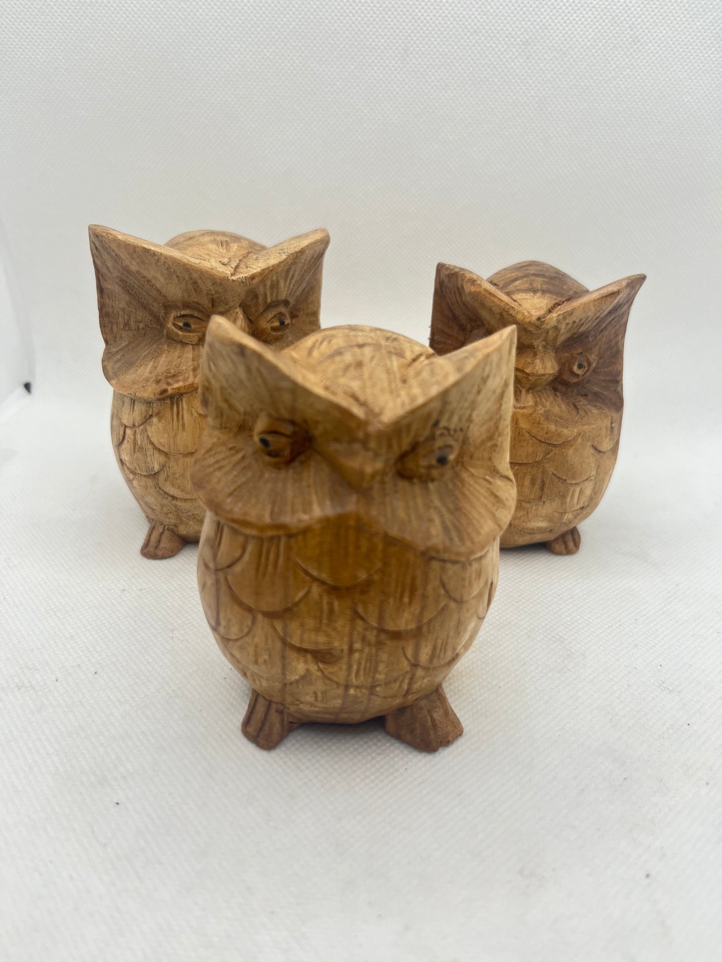 Wood Owl Small