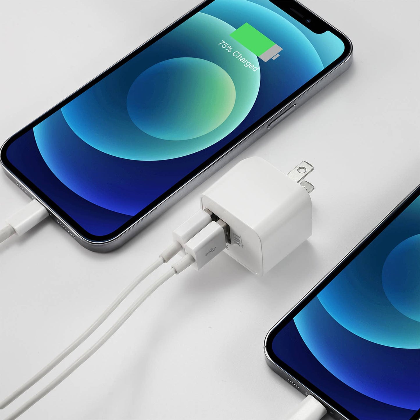 LAX Fast Charging 2 Port USB Wall Charger Retail Pack: White