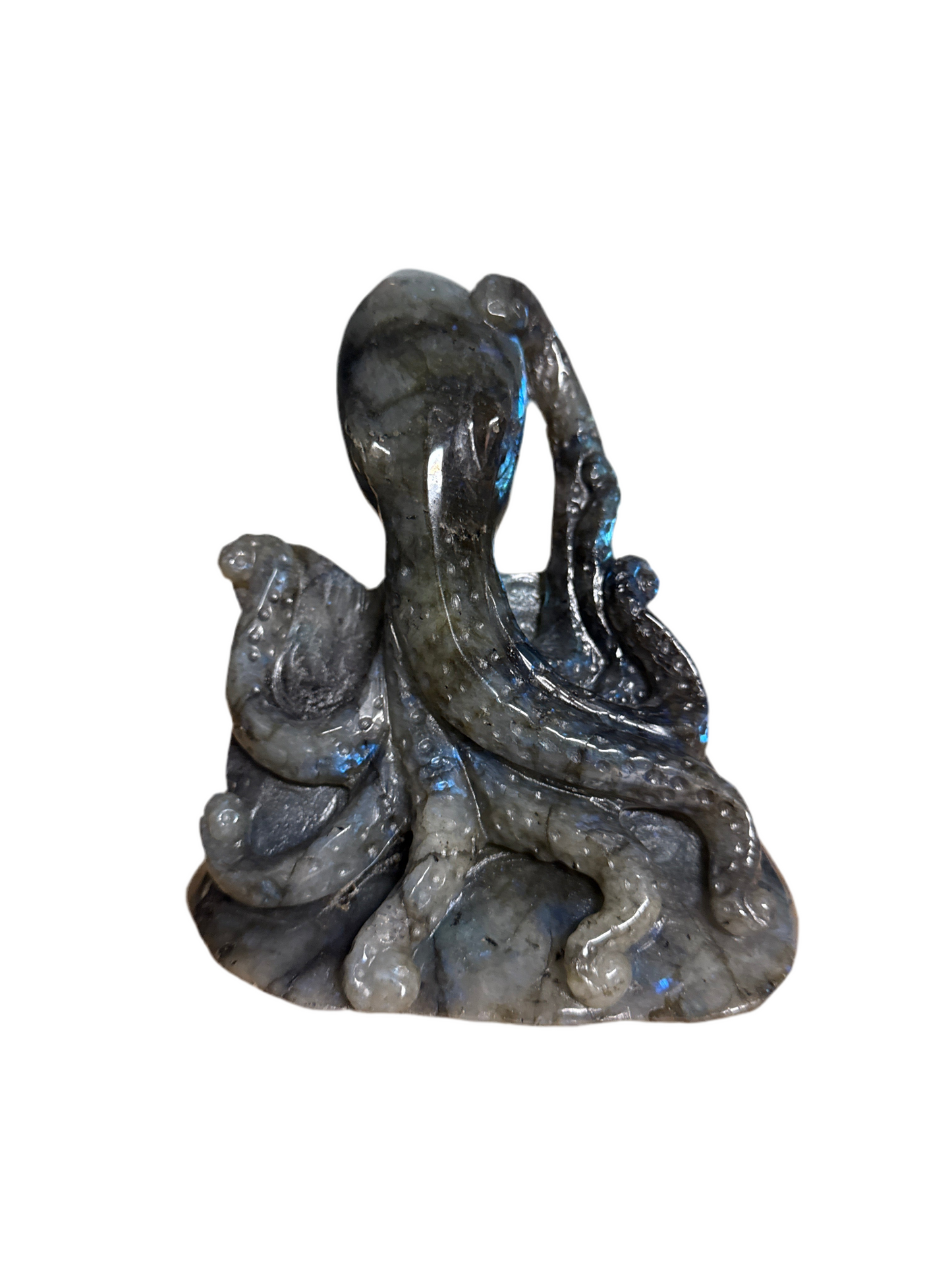 Octopus Labradorite