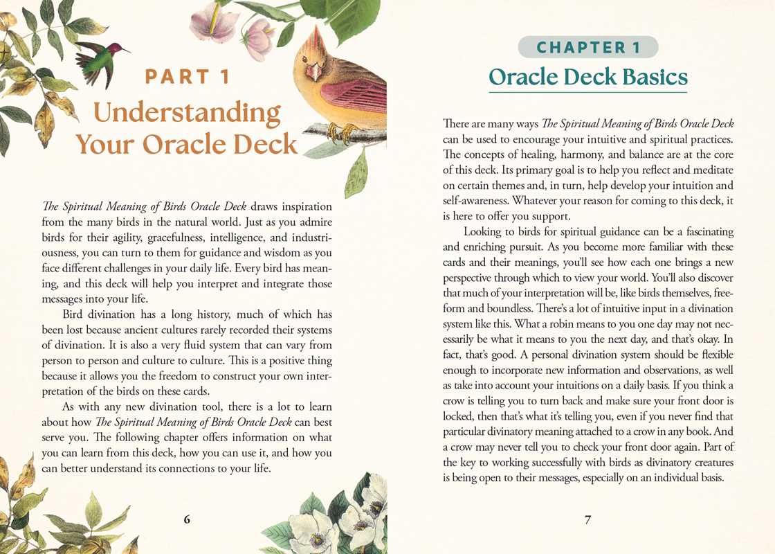 Spiritual Meaning of Birds Oracle Deck by Arin Murphy-Hiscock: Flashcards; 50 pages / English