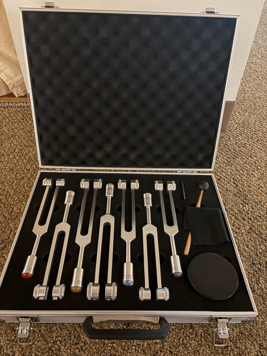 Set of Tuning Forks in Case with Gemstones