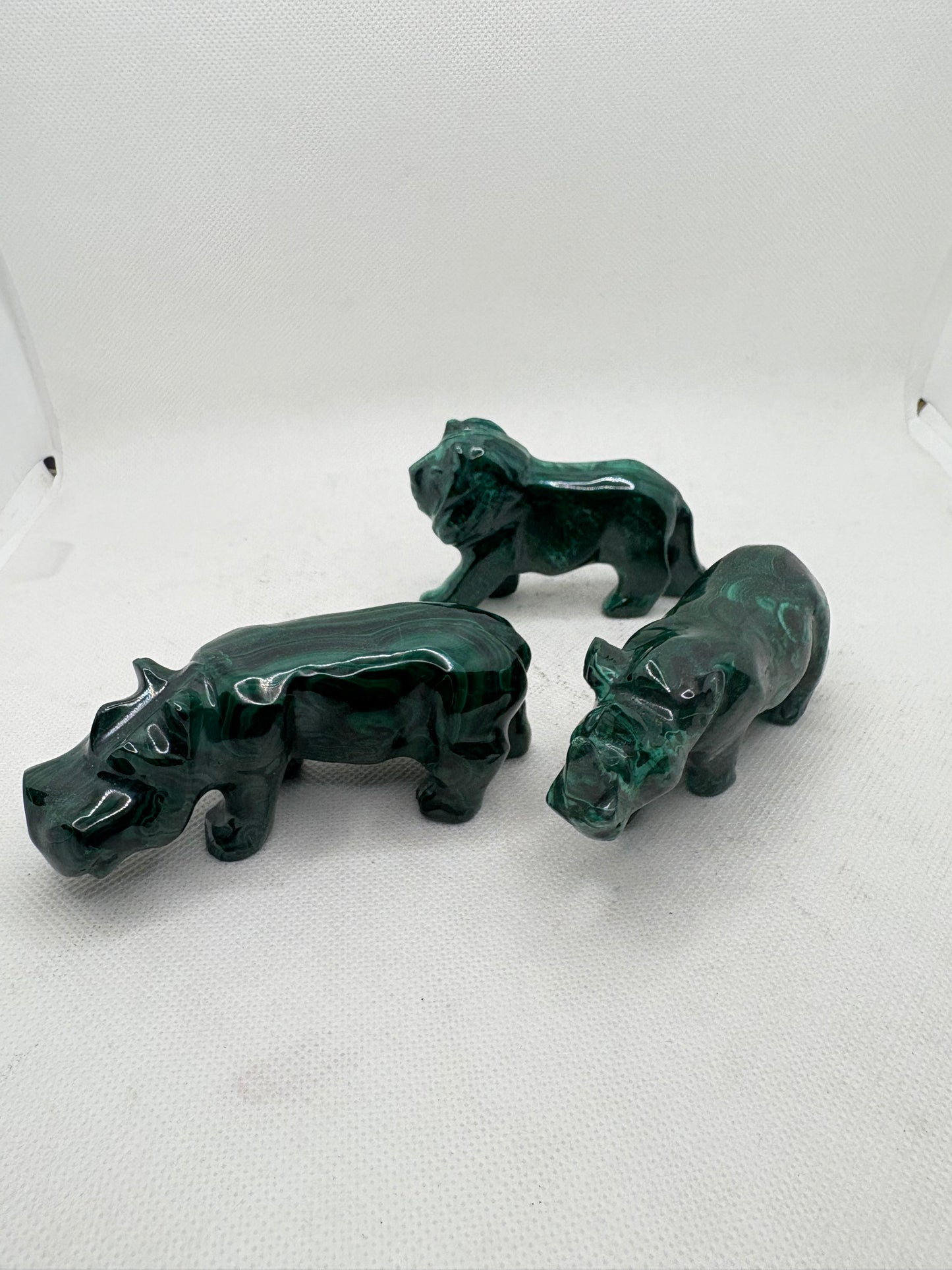 Malachite Animal