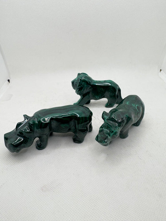 Malachite Animal