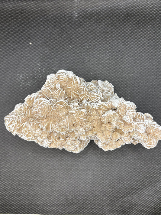 Desert Rose Cluster Medium