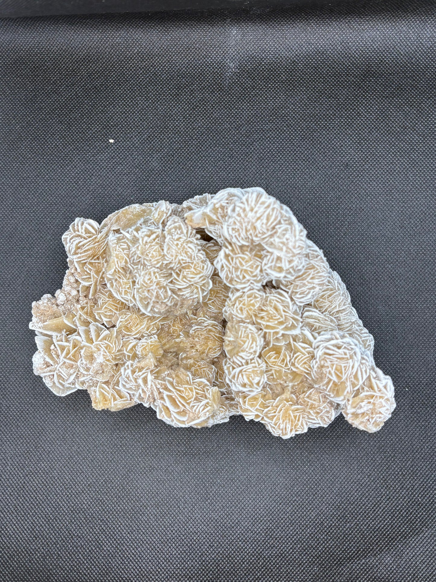 Desert Rose Cluster Large