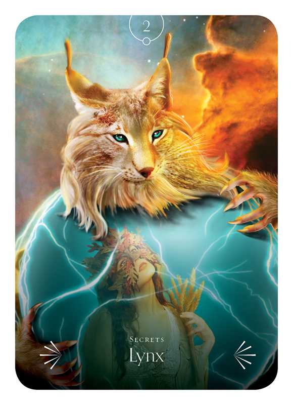 Divine Animals Oracle by Stacey Demarco: Boxed Set/Slip Cased/Casebound; 180 pages / English