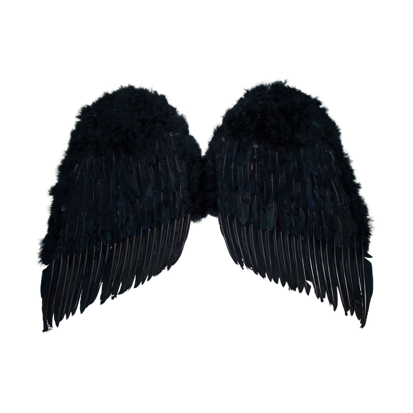 Angel Wing - Adult 36in x 31in: White or Black