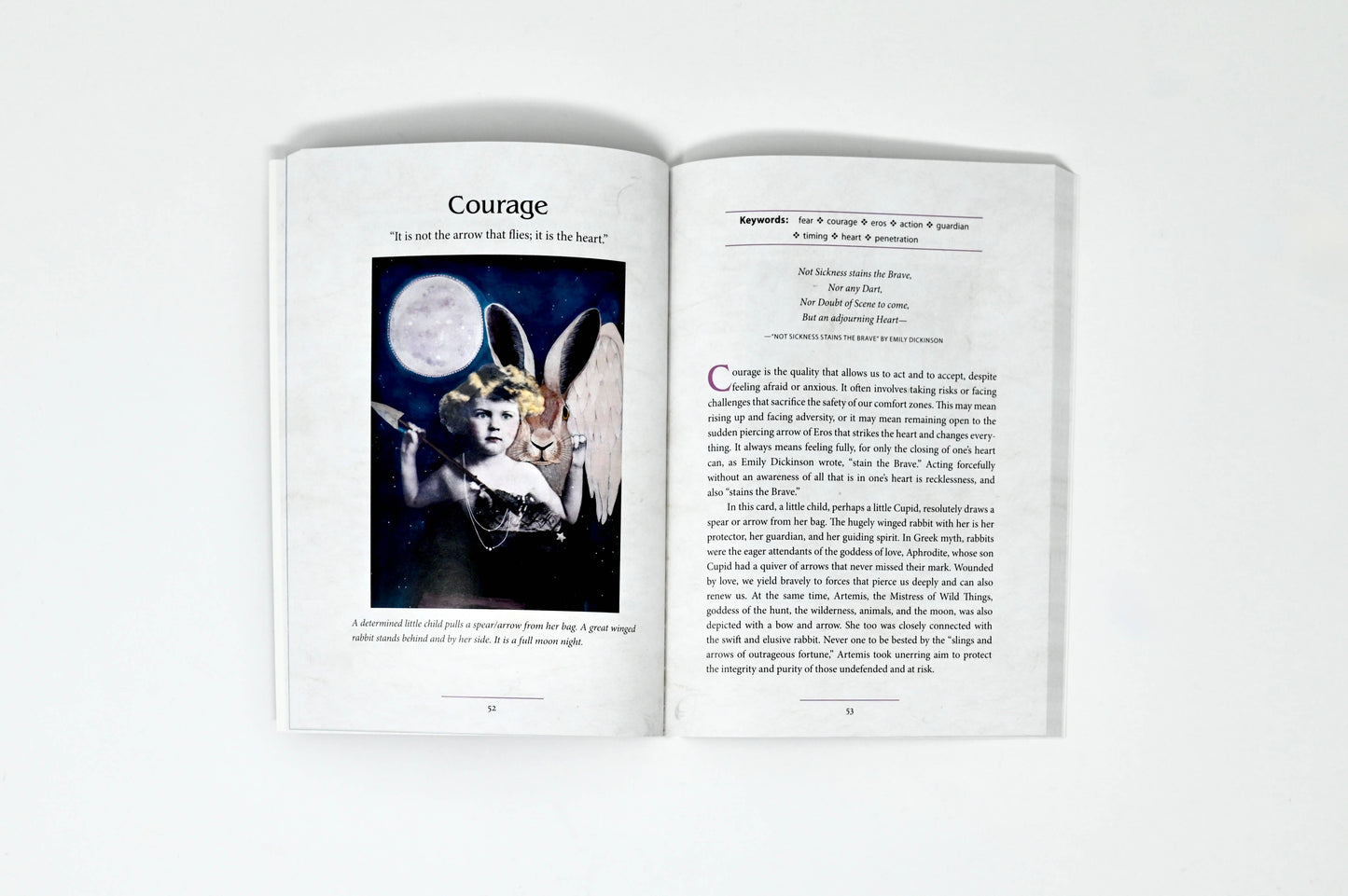 The Oracle of Rewilding: 44 Cards & 176-Page Guidebook