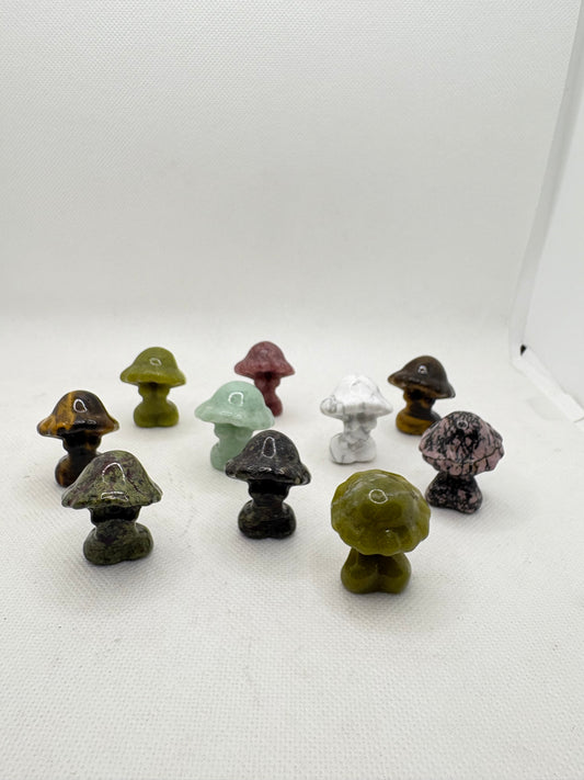 Mushroom Small Naked Lady