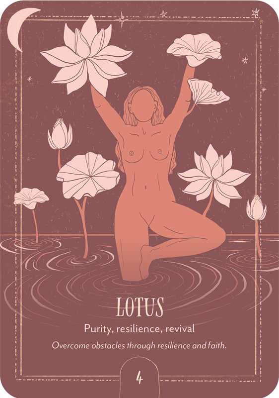Earth Song Oracle by Tarn  Ellis: Flashcards; 96 pages / English