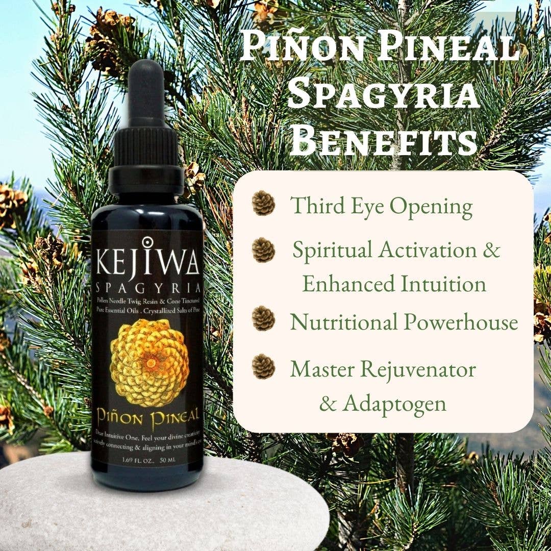 Piñon Pineal Spagyria: Pine Herbal Tincture