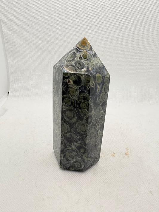 Crocodile Jasper Tower