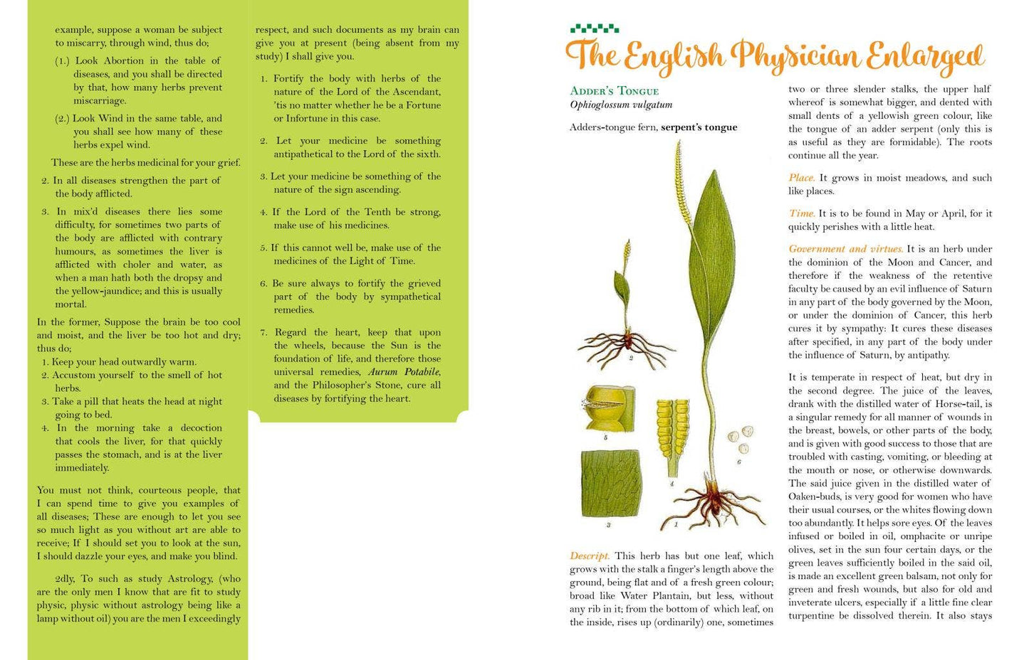 Culpeper's Complete Herbal: Herbalists, Healers, & Witches: White Cover