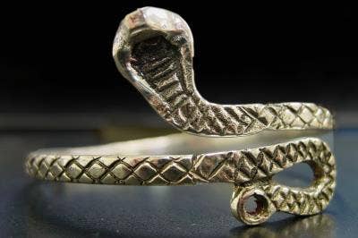 Snake Armband: Gold