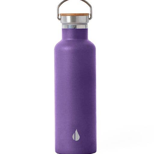 Stainless Steel Water Bottle with Bamboo Cap: Purple, Citrus, Navy, Plum,White, or Robins Egg