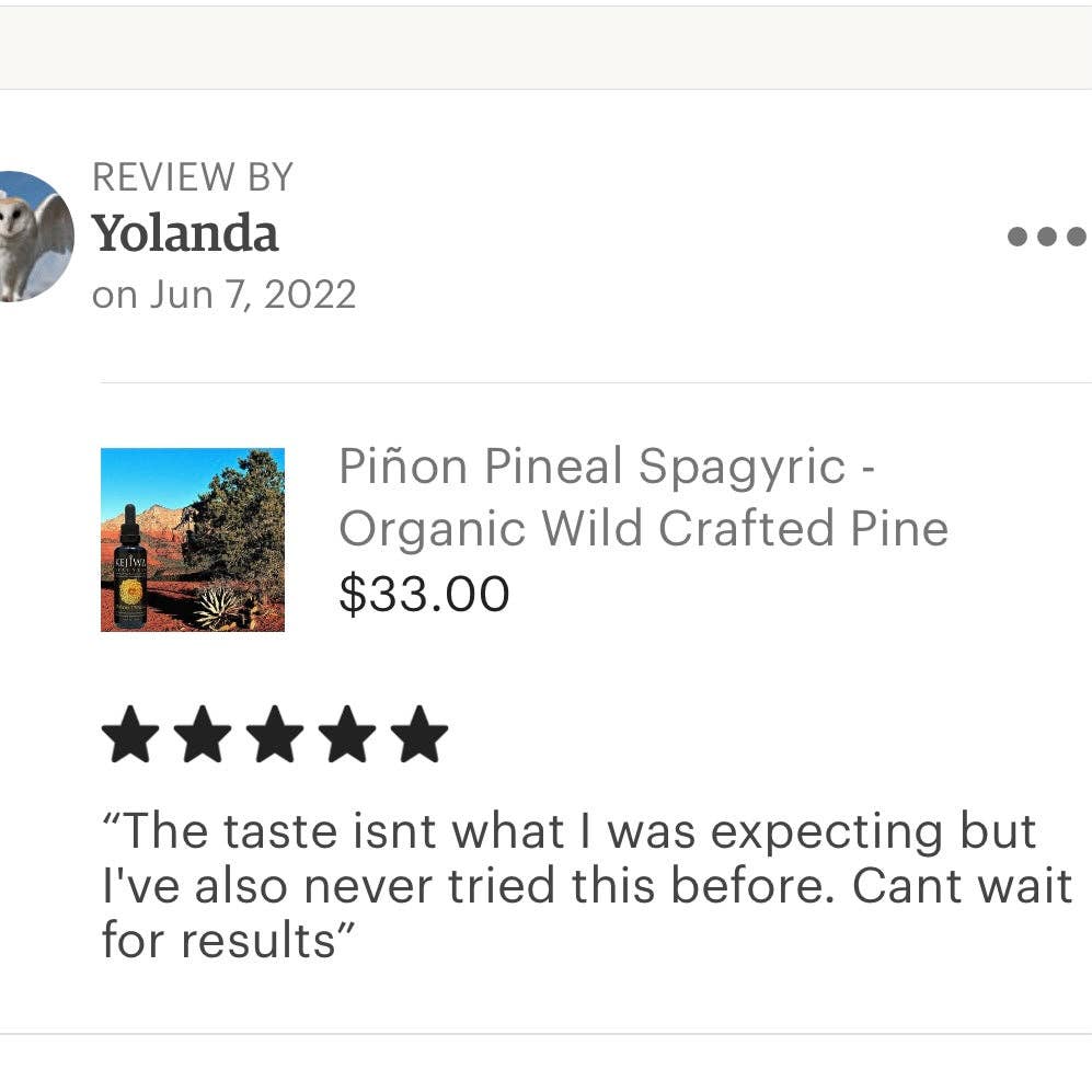 Piñon Pineal Spagyria: Pine Herbal Tincture