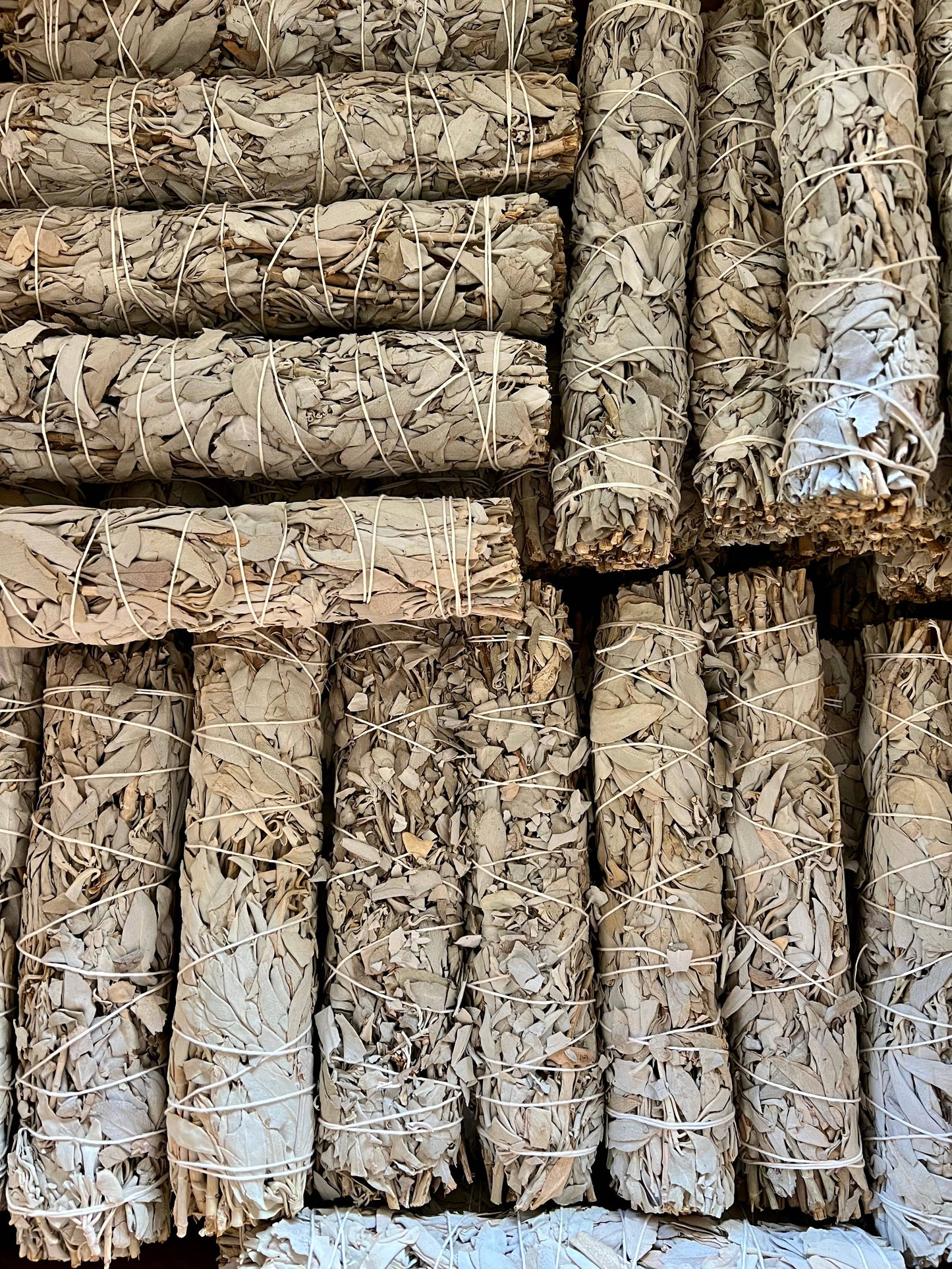 9 inch White Sage Bundles from Farm in California
