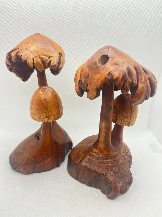 Burl Top Mushroom