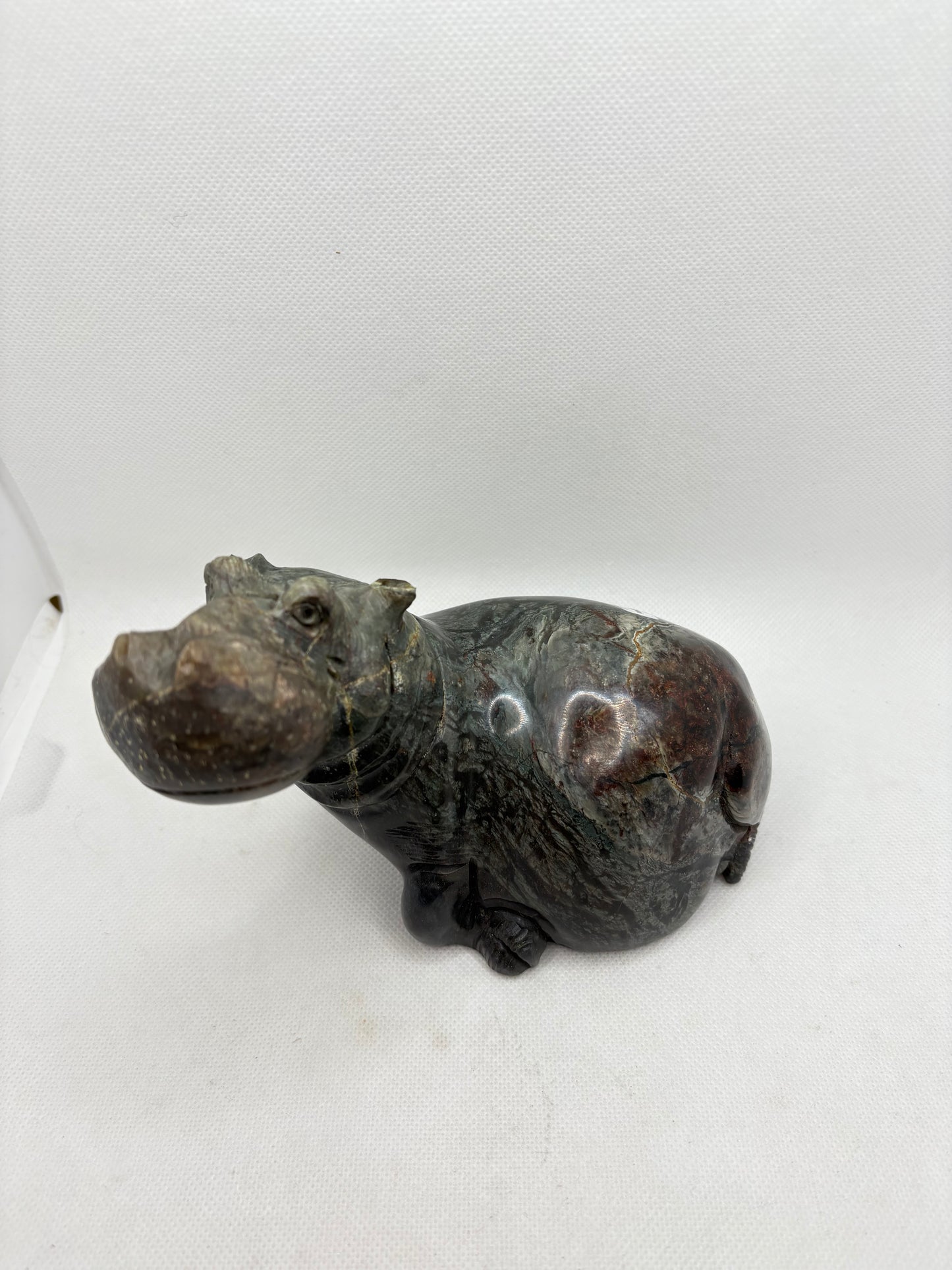 Hippoptamus Serpentine