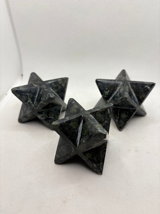 Crocodile Jasper Merkaba