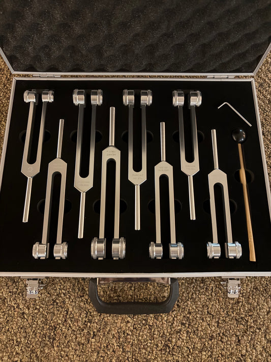 Set of Tuning Forks in Case