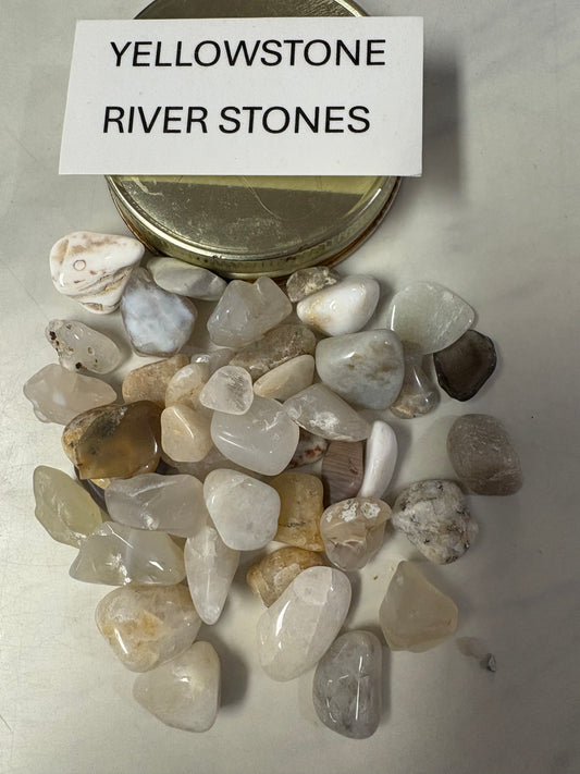 Jill Stones from the Yellowstone Half Pint Jar