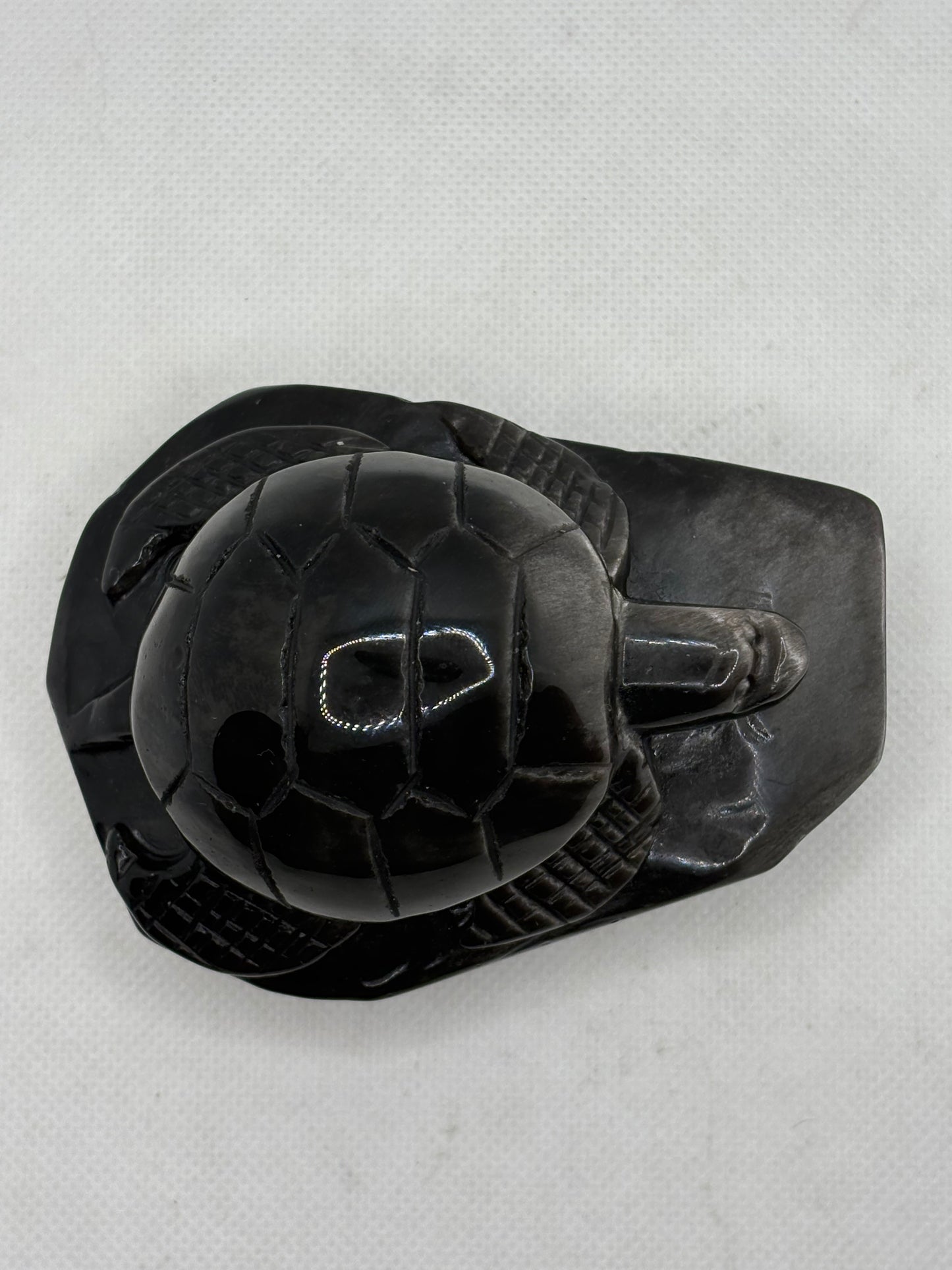 Rainbow Obsidian Turtle