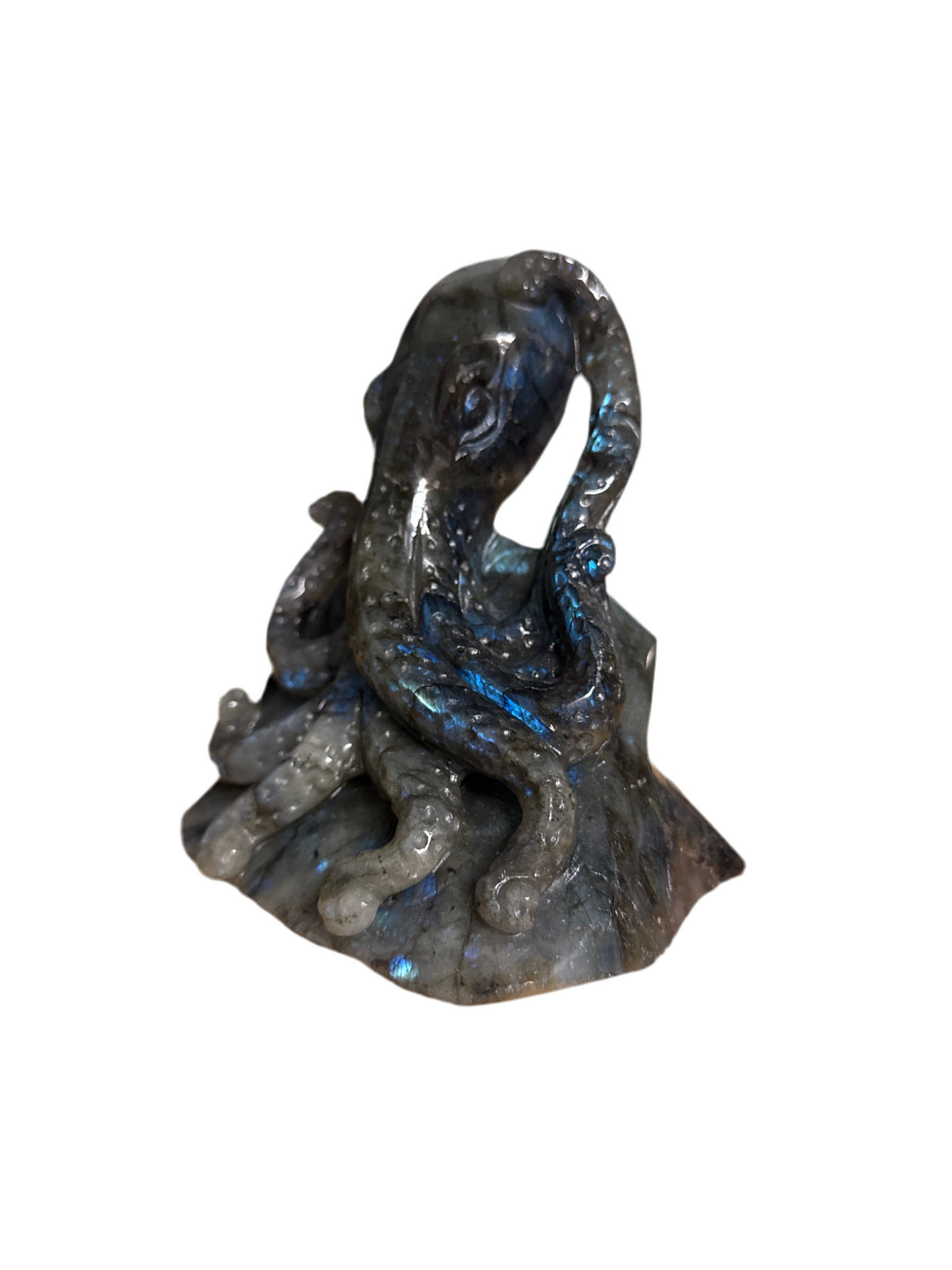 Octopus Labradorite