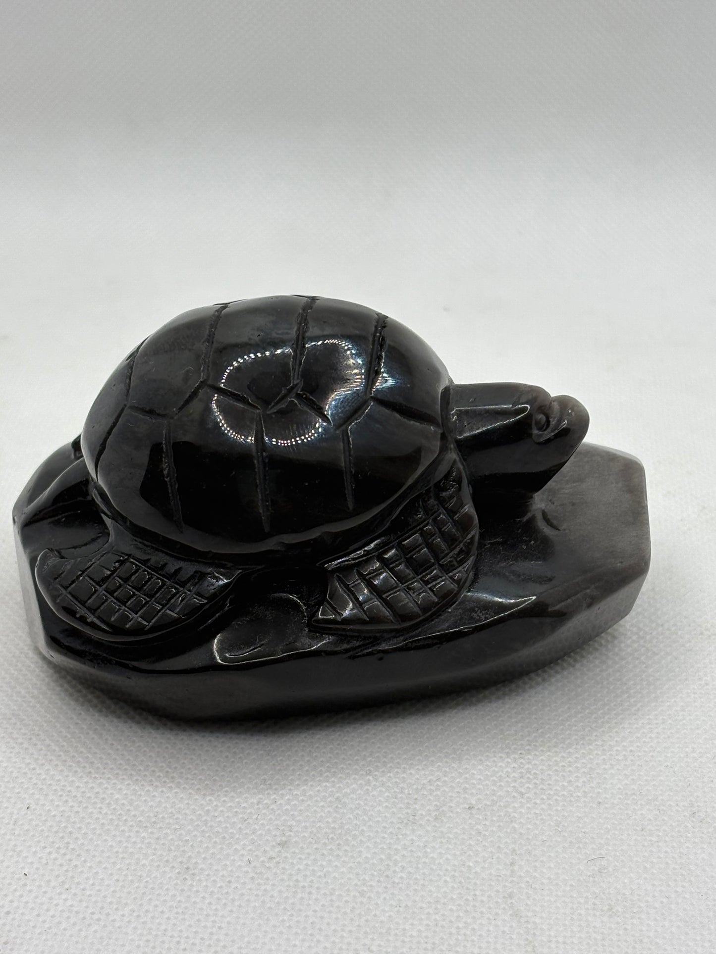 Rainbow Obsidian Turtle