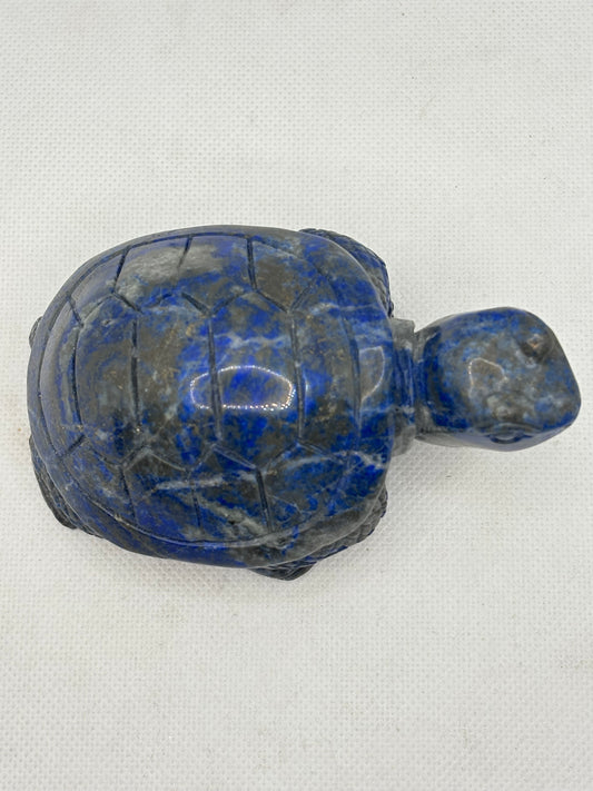 Turtle Lapis