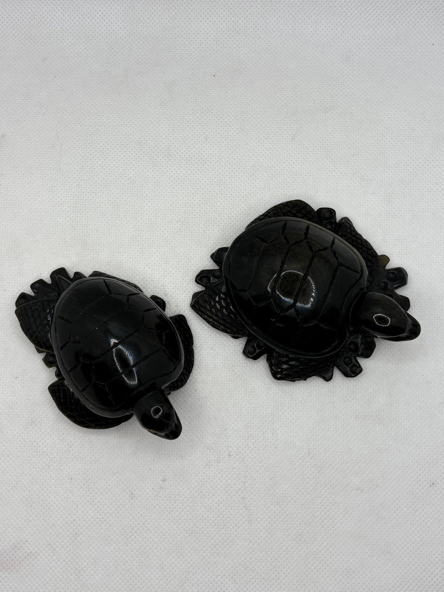 Obsidian Turtle