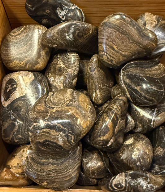 Stromatolite Tumbled Stone