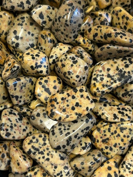 Dalmatian Jasper Tumbled