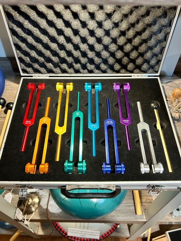 Set of Tuning Forks in Case