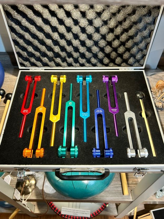 Set of Tuning Forks in Case