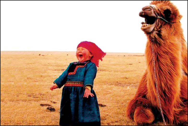 Postcards - All Varieties