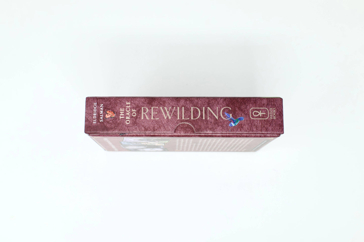 The Oracle of Rewilding: 44 Cards & 176-Page Guidebook